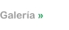 Galer�a de Im�genes